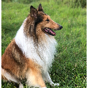 Elvis