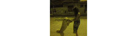  Ρίτσι