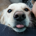Happy