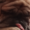 SISSIE