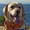 ερμης