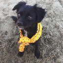 Blackie