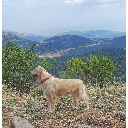 Μπαλού