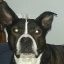 Rocky